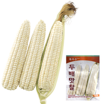 팜한농 두배맛찰 옥수수씨앗 100립, 1개