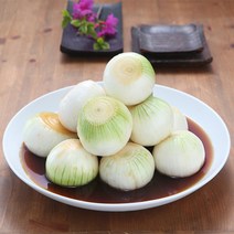 해남화원농협 이맑은 양파장김치 5kg