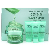 홀리카 알로에수딩에센스80% 수분탄력 젤크림 기획