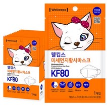 웰킵스 미세먼지황사마스크 중형 KF80, 25개입, 2개, 백색