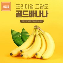 고씨네 프리미엄 바나나13KG 수입산바나나 바나나 과일바나나 제주도바나나 수입산바나나 수입바나나 산청바나나 국내산바나나 국산바나나 고당도바나나 경남바나나 경남산청바나나, 본상품