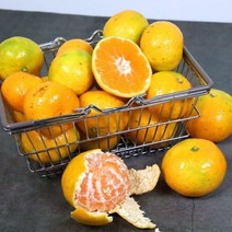 (철따라농산물) 제주 서귀포 노지 황금향 선물용 3kg(9-14입)