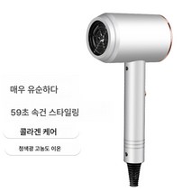 전기 드라이기 가정용 대풍력 미용실 고출력 이발소 음이온 냉열풍 초저소음, 화이트