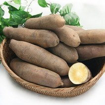 광진농산 [광진농산] 자연이 만들어낸 안동 야콘 품 10kg, 1