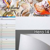 두성종이4절히어로14스코트랜드10매220g 메뉴판 표지 간지 봉투 태그 라벨dc24a, 단품