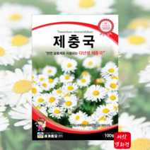 제충국씨앗 100립 / 홈가드닝 다년생 종자 천연 살충제 국화과 봄 여름 가을, 1개