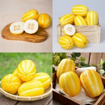 성주 참외 5KG 14 15과 가정용참외 참외효능