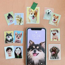 [1+1] 반려동물 증명사진 스티커 보정파일 무료제공, 8컷세트(반명함3*4), 직접자를게요, 괜찮아요(단품)