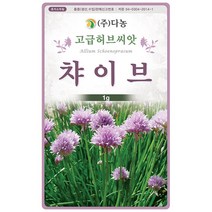 다이어즈 골든 케모마일 1g - 허브 허브씨 허브씨앗 씨 씨앗 캐모마일 꽃씨 꽃씨앗 Chamomile, 19_다농_차이브(1g)