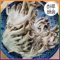 [온도씨] [하루배송]가락시장 느타리버섯 500g, 상세 설명 참조
