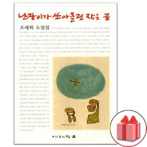 (선물) 난장이가 쏘아올린 작은 공 소설책