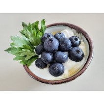 담양 블루베리 바이오샹떼 1kg 유기농 생블루베리 고급선물용