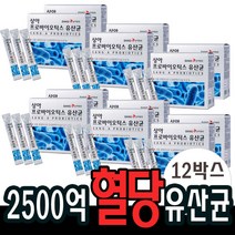 유산균 플란타룸 락토바실러스 람노서스 비피덤 프로바이오틱스 12박스