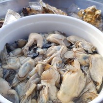 산지직송 통영 생굴 굴 깐굴 알굴 1kg