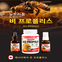 (2병) 캐나다 뉴트리돔 비프로폴리스 뿌리는 프로폴리스 스프레이 염증에 좋은 비염 면역력 영양제 캡슐 120정