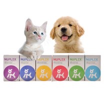 (1+1) 뉴플렉스 골드 강아지 고양이 영양제 심리안정 관절 눈 포스트바이오틱스 면역개선 파우더 50g 70g, 4이뮨골드_면역향상 70g