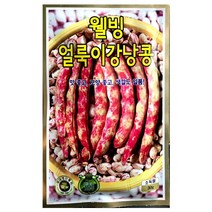 얼룩이강낭콩씨앗 30g 강낭콩 씨앗 종자