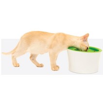 고양이 급식소 냥이 예쁜사료통 용기 접시 턱드름방지 밥그릇 고양이급식기 식기 선물, 1개