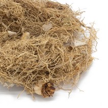 총백 국내산 300g 파뿌리, 1개