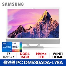 삼성 올인원PC DM530ADA-L78A - 16GB 1TB WIN11 HOME 사무용 가정용 공간활용 일체형PC ED