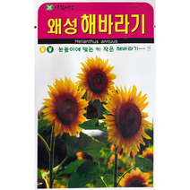 키가 작은 왜성해바라기 씨앗(50립)(A0627)