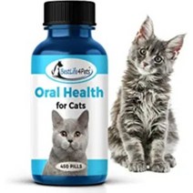 BestLife4Pets 베스트라이프포펫츠 오랄 헬스 포 캐츠 반려묘 고양이 구강건강 영양제 구내염 치은염 완화 영양제 450ct