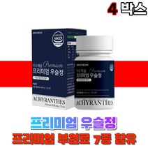 우슬정 우슬환 우슬 쇠무릅 뿌리 부모님 노인 국산 쇠무릎풀 30대 20대 50대 여자 남자 중장년 상어연골분말 어골칼슘 해조칼슘 보스웰리아 국내산, 4박스(60정), 4개