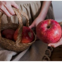 의성 부사 사과 4kg 5kg 부사사과 사과직거래 햇사과 사과한박스, 쏘리 부사사과 4kg 17~19과