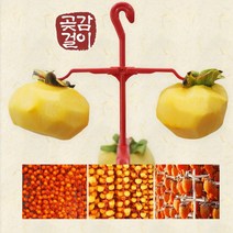 곶감꽂이 곶감말리는기구 대봉 곶감 감꽃이 집게 핀 고리 만들기 곶감용걸이 건조대, 꼭지핀 20개