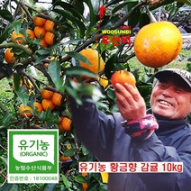 문가원 유기농 감귤 노지감귤 천혜향 레드향 황금향 5kg 10kg 달고 진한 혼합과, 문가원 제주 유기농 황금향 감귤 10kg