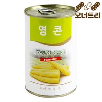 식당 업소 식재료 영콘(대화 425g), 425g, 1세트