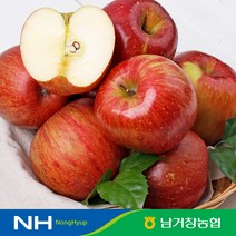 아삭달콤한 거창 꿀사과 가정용 2.5kg(소과)13-15과 내외, 단품