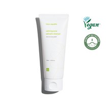 페이스리퍼블릭 카밍 아크네 살리실산 클렌저 100ml, 1개