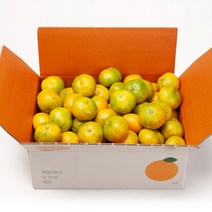 깨비농원 노지 감귤 9kg, 1box, 노지 감귤 9kg 특로얄과(S)