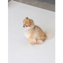 [러그140x180cm] 3장 디팡 소형견 중대형견 펫플레이 강아지매트 미끄럼방지 4mm, 시크그레이 3장, 4mm 러그(소형견용)