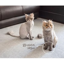 애견실수 방수 물세탁 카페트 매트 러그 워셔블 유아 청소편한 손상없는