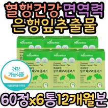 혈행건강 면역력 기억력개선 은행잎추출물 비타민B군 고시생 기억력 에좋은 좋아지는법 영양제 징코플러스 플라보놀배당체 고3 수험생 고등학생 GINKGO 아연 엘아르기닌 활력 홈쇼핑