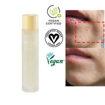 메이쿱 로우 소스 더 비건 대용량 천연 에센스 여성 무자극 에센스 세럼 쑥화장품 100ml 1개