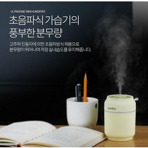 laterior 촉촉한 미니 가습기, 민트