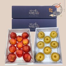 명절 혼합 과일 선물세트 사과 배 설날 선물용, 실속형 4.5kg (소)