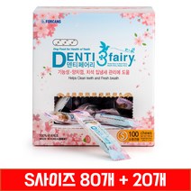 포켄스 덴티페어리 S 100p 벚꽃에디션 730g