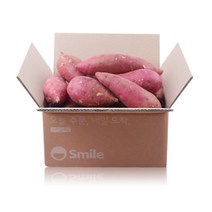 꿀고구마 5kg 특크기 22년 수확