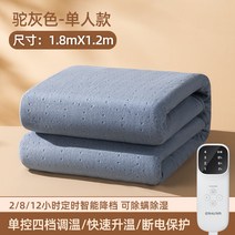 겨울 전기담요 싱글 더블 온도 조절 리모컨 전기장판 캠핑텐트 전기요 온수매트, B