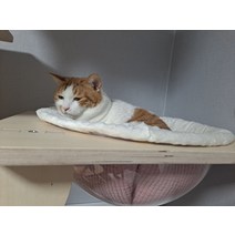 모자해먹 캣타워 반구 전용해먹, 단품, 단품