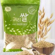 귀리쌀 5kg 참귀리 슈퍼푸드 곡물의왕 편식아동 슬림핏 밸런스 영양식 캐나다산, 쌀귀리 5kg