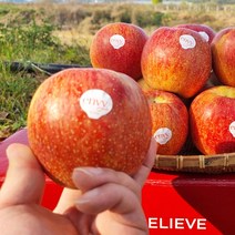 고당도 예산 엔비사과 1kg+1kg (500g 추가 덤), 2.5kg 소과(12-14과 내외)