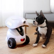 DOGNESS 펫케어 반려동물 로봇 강아지 간식 로봇 움직이는 강아지 장난감 펫캠, 화이트