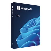 마이크로소프트 Windows 11 Pro FPP 한글