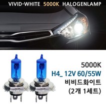 5000K 비비드화이트 현대 투싼IX 10-13년 전조등 상향등 하향등 안개등 자동차램프, 1세트, 5000K 투싼IX 하향등 H4(2개1세트)