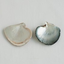 인테리어 소품 진주 조개 트레이, 백진주
